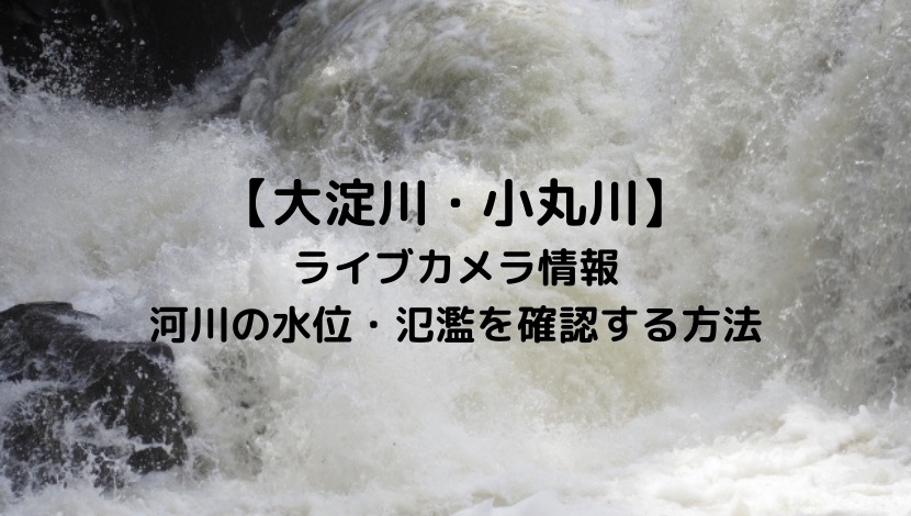 大淀川・小丸川(宮崎)のライブカメラと現在の水位や氾濫場所＆状況を確認する方法！